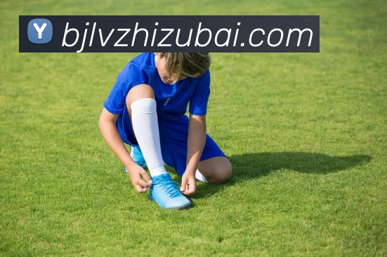 百家乐网站平台生态图